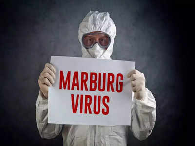 Marburg virus outbreak : வேகமாக பரவிவரும் மார்பர்க் வைரஸ் நோய்... எப்படி பரவும்? அறிகுறிகள் என்னென்ன...