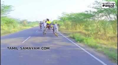 இராமநாதபுரம் - இரட்டை மாட்டு வண்டி பந்தயம் ; சீறி பாய்ந்து சென்ற காளைகள்