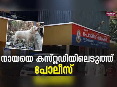 വളർത്തു നായയെ കസ്റ്റഡിയിലെടുത്ത് കൊല്ലം കുണ്ടറ പോലീസ് | Kundara Police