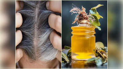 Curry Leaf Hair Oil: ৩০ বছরে মাথা ভরে যাচ্ছে পাকা চুলে? ঘরে তৈরি এই তেল ২ দিন মাখলেই কুচকুচে কালো চুল ফিরবে