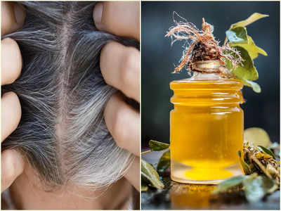 Curry Leaf Hair Oil: ৩০ বছরে মাথা ভরে যাচ্ছে পাকা চুলে? ঘরে তৈরি এই তেল ২ দিন মাখলেই কুচকুচে কালো চুল ফিরবে