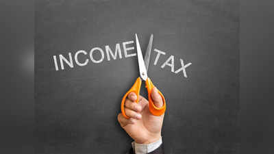 Income Tax: कितीही कमवा, एक रुपयाही टॅक्स नाही, भारतातील कोणत्या राज्यात सुविधा?