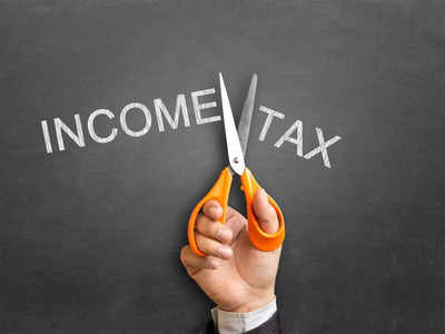 Income Tax: कितीही कमवा, एक रुपयाही टॅक्स नाही, भारतातील कोणत्या राज्यात सुविधा?