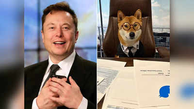 Twitter New CEO: एलन मस्क ने कुत्ते को बना दिया ट्विटर का सीईओ, कहा- दूसरों से बेहतर है