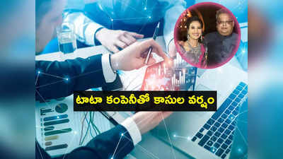 Tata Company అదుర్స్.. ఆమెకు 2 వారాల్లోనే రూ.1000 కోట్లు లాభం.. ఈ స్టాక్ మీ దగ్గరుందా?