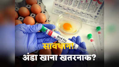 Bird Flu Virus in India: इंसानों में फैल रही चिड़ियों की बीमारी, करोड़ों पक्षी मरे, हो जाइए तैयार... अगली महामारी होगा बर्ड-फ्लू?