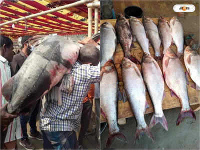 Poradoho Mela : ৪০ কেজির দৈত্যাকার মাছ দেখতে হুড়োহুড়ি, কত দামে বিক্রি?
