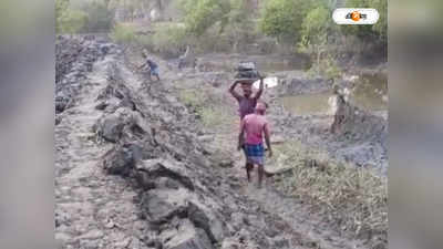 Sundarban News : সুন্দরবনের মাতলা নদীর চরে চলছে ম্যানগ্রোভ চুরি! ক্ষোভ স্থানীয়দের