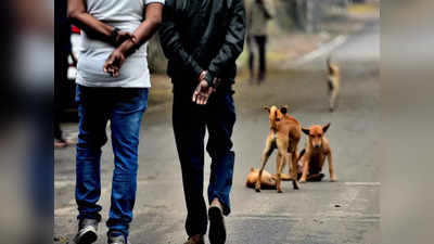 कुत्ते की पिटाई करने वाले पुलिस अधिकारी पर दर्ज हो FIR, दिल्ली की अदालत ने सुनाया फैसला