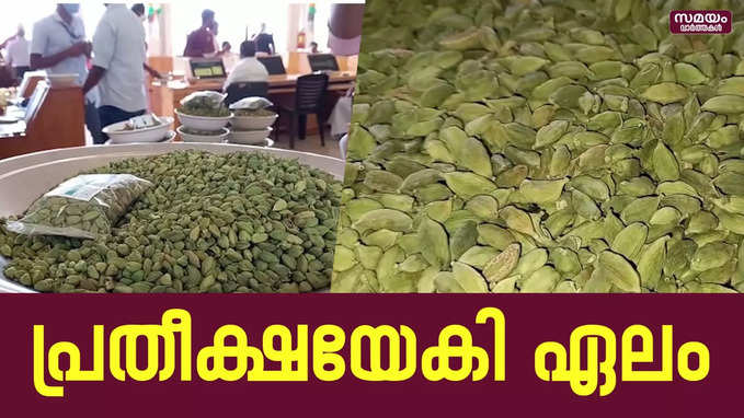 വ്യാപാരികൾക്കും കർഷകർക്കും പ്രതീക്ഷയേകി ഏലം