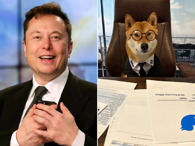 एलन मस्कच्या ट्विटनं उडवली खळबळ, कुत्र्याला केलं ट्विटरचा नवा CEO