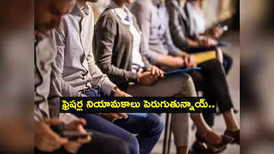 Freshers jobs: గుడ్‌న్యూస్.. భారత్‌లో భారీగా ఫ్రెషర్ల నియామకాలు.. ఐటీ రంగమే టాప్!