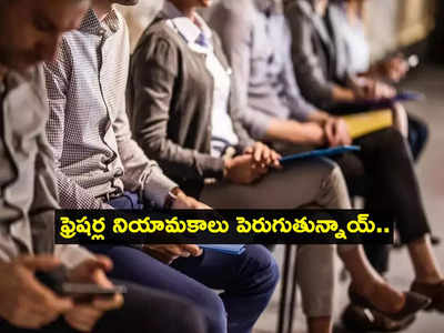 Freshers jobs: గుడ్‌న్యూస్.. భారత్‌లో భారీగా ఫ్రెషర్ల నియామకాలు.. ఐటీ రంగమే టాప్!