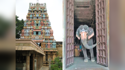 Elephant: ఆలయం తలుపులు తెరిచిన ఏనుగు.. తిరుచ్చిలో వింత!