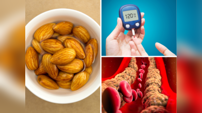 Diabetes-Cholesterol को एक साथ खत्म कर सकते हैं बादाम, भारतीय वैज्ञानिकों बताया कब और कैसे खाएं