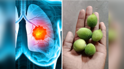 How to Prevent Lung Cancer: धीरे-धीरे फेफड़ों को गला देती हैं ये 3 चीजें, कैंसर से बचा लेंगे Dr. के 5 उपाय