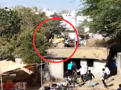 VIDEO : भिर्रर्र होताच बैलगाडा उधळला, थेट घराच्या छतावर; पत्रा तोडून घरात अन् मग...