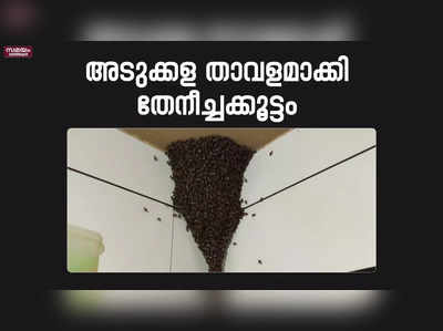 വീട്ടിൽ പ്രവേശിക്കാനാവാതെ കുടുംബം