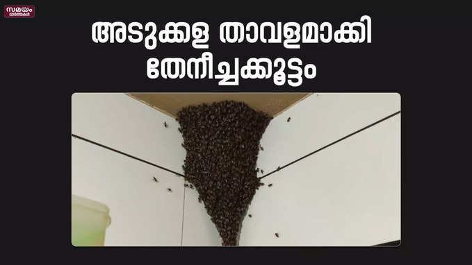 വീട്ടിൽ പ്രവേശിക്കാനാവാതെ കുടുംബം