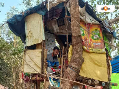 TET Result : গাছের মগডালে বসে পড়াশোনা করেই TET-এ উত্তীর্ণ বরুণ! যুবককে কাছ থেকে দেখার হিড়িক ঝাড়গ্রামে