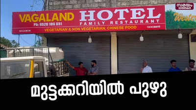 വാഗമണ്ണിൽ ഹോട്ടലിലെ ഭക്ഷണത്തിൽ പുഴു|Hotel Food