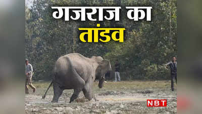 हाथी को गुस्सा आ जाए तो कंट्रोल कैसे करेंगे? गोरखपुर का मंजर देख जंगल के पहलवान से डरे लोग