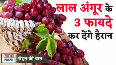 Red Grapes Health Benefits : लाल अंगूर के ये 3 फायदे जानकर हो जाएंगे हैरान, डाइट में आज ही करें शामिल