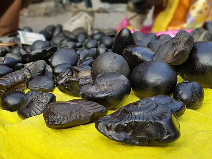 shaligram