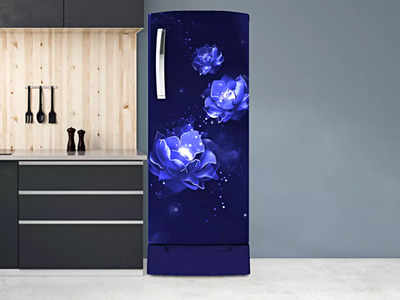 एनर्जी सेविंग हैं ये सिंगल डोर वाले Refrigerators, मिली है टॉप यूजर रेटिंग