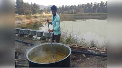 Non Veg Prasadam: ಶಿವನಿಗೆ ಬಾಡೂಟದ ನೈವೇದ್ಯ, ನೂರಾರು ಕೆ.ಜಿ ಚಿಕನ್‌ ಮಟನ್‌ ಬಳಕೆ