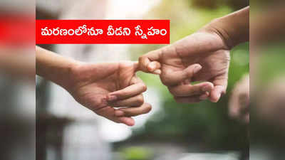 మరణంలోనూ వీడని స్నేహం.. గుడిలో జాగరణ చేసి వస్తుండగా ముగ్గురు విద్యార్థులు శివైక్యం 