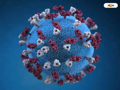 Adenovirus In Kids : অ্যাডিনোভাইরাস প্রায় মহামারী, শিশুদের নিয়ে বাড়ছে উদ্বেগ