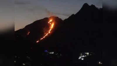 Nainital Fire: नैनीताल में कैमल्स बैक की पहाड़ी में भीषण आग
