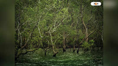 Sundarban : বেআইনি নির্মাণ ভাঙতে বলল পরিবেশ কোর্ট