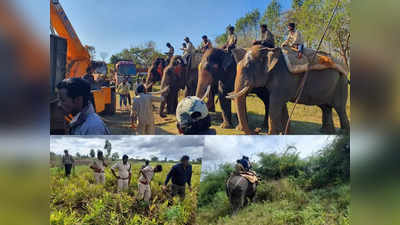 ದಕ್ಷಿಣ ಕನ್ನಡ ಜಿಲ್ಲೆಗಿಲ್ಲ ಆನೆ ಕಾರ್ಯಪಡೆ : ಸರಕಾರಕ್ಕೆ ಇದುವರೆಗೂ ಹೋಗಿಲ್ಲ ಪ್ರಸ್ತಾವನೆ