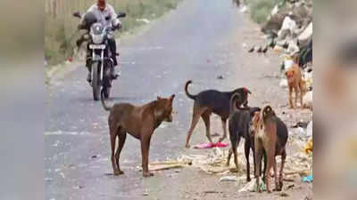 హృదయవిదారకం.. ఐదేళ్ల పిల్లాడిని పీక్కుతిన్న వీధి కుక్కలు 