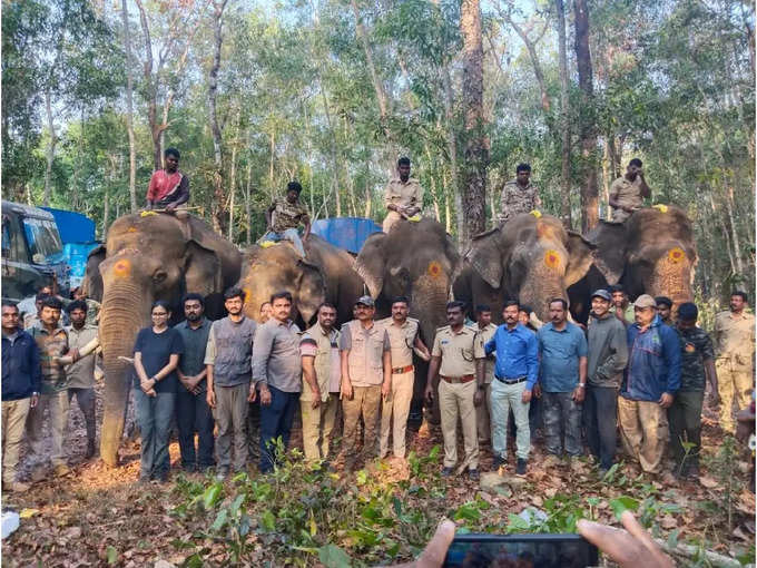 operation to capture elephant