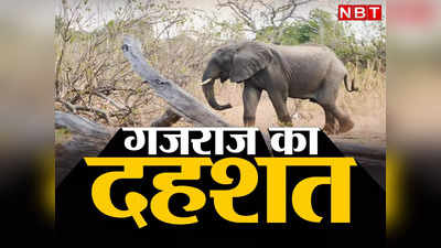 Jharkhand: झारखंड में जंगली हाथियों के आतंक के बाद लागू करना पड़ा धारा 144, अलग-अलग स्थानों पर 10 को कुचला