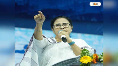 Mamata Banerjee : সিঙ্গল ইঞ্জিনের বিমান কি নিরাপদ, সংশয়ে মমতা
