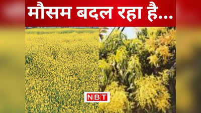 Bihar Mausam News: बिहार के सीमांचल में मौसम का यू-टर्न, अचानक ठंडी हवाओं का प्रवाह शुरू, मार्च में शुरू हो जाएगा हीट वेव