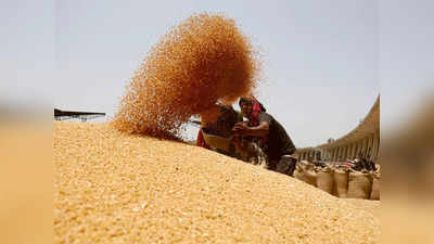 Wheat price: எகிறும் கோதுமை விலை.. மத்திய அரசு புதிய முடிவு!