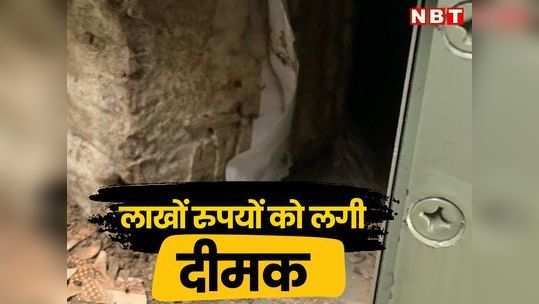 rajasthan news video in hindi termites ate lakhs of rupees notes kept in pnb bank locker in udaipur
