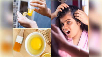 Hair Care at Home: মাথায় হাত দিলেই উঠে আসছে এক দলা চুল? এই ৫ ঘরোয়া টোটকাতেই কাজ হবে, জেনে নিন ঝটপট