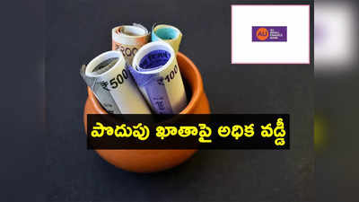 ఈ బ్యాంక్‌లో డబ్బులుంటే నెల నెలా వడ్డీ..  Savings Accountతోనే.. ఆఫర్ అదిరింది కదా!