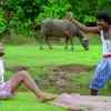 Bholwa ke clearance comedy video