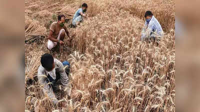 हुजूर, आधी दर्जन महिलाएं खेत में शौच कर देती हैं, भागलपुर के किसान का आवेदन हुआ वायरल
