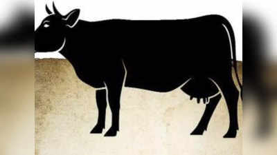 Bhopal News: गौ हत्या के तीन आरोपियों को पुलिस को पकड़ा, NSA के तहत होगी कार्रवाई