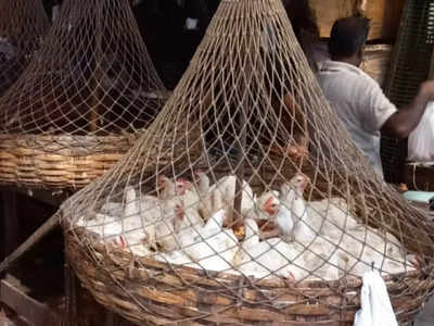 Chicken Price in Kolkata: চিকেনের দাম ফের ₹200, অস্বস্তিতে সাধারণ মানুষ