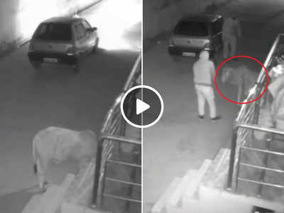 Viral News: रात के अंधेरे में आए चोर, गाय के बछड़े को मारुति 800 में डालकर ले गए, CCTV फुटेज वायरल