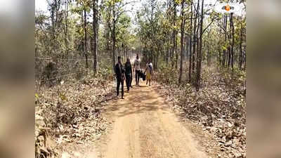 Madhyamik Examination 2023 : হাতি নিয়ে আতঙ্কের মাঝেই জঙ্গলমহলে মাধ্যমিক, বনের পথে বিশেষ ব্যবস্থা দফতরের